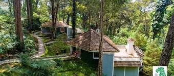 The Tall Trees Munnar