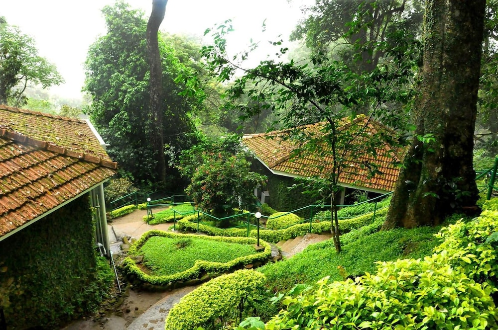 The Tall Trees Resorts by null