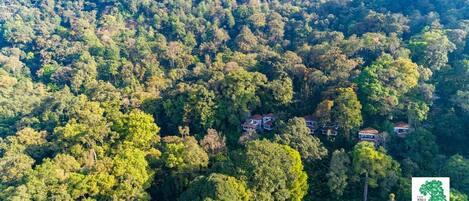 An aerial view of a forested area with several houses nestled among the trees.