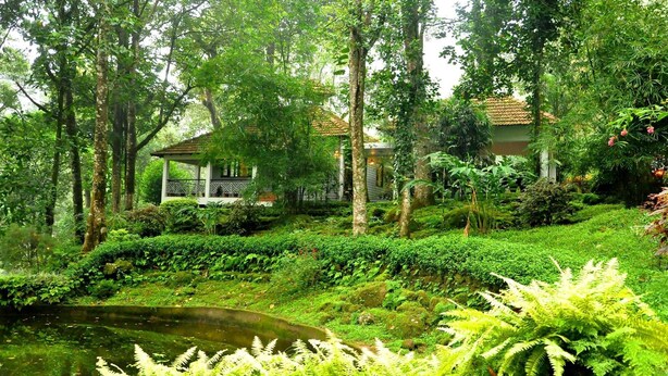 Un exuberante jardín con un estanque, un pabellón y una casa rodeada de follaje denso.