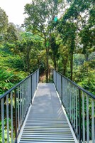 A wooden bridge with metal railings, surrounded by dense green foliage.