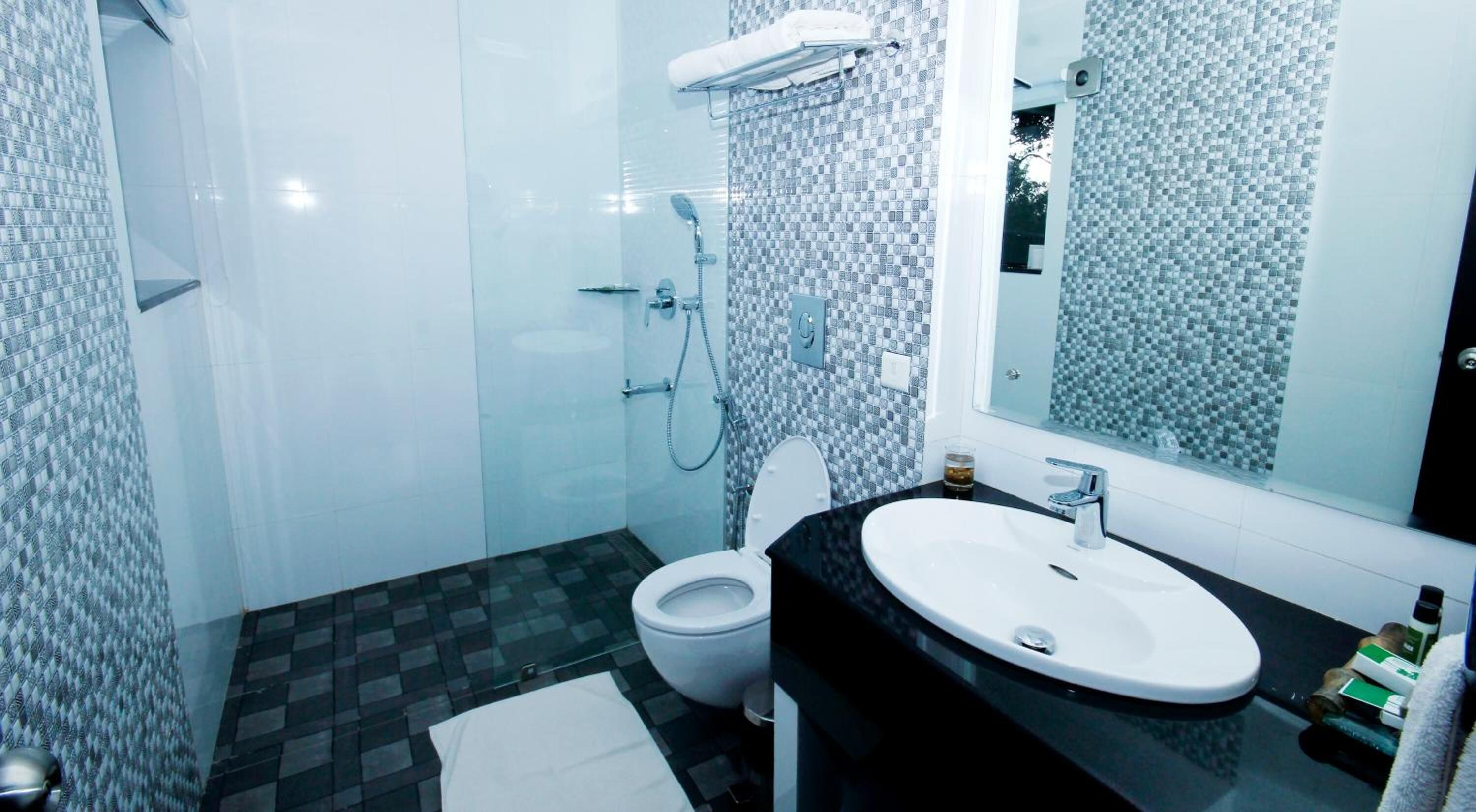 hair dryer, bathrobes, towels