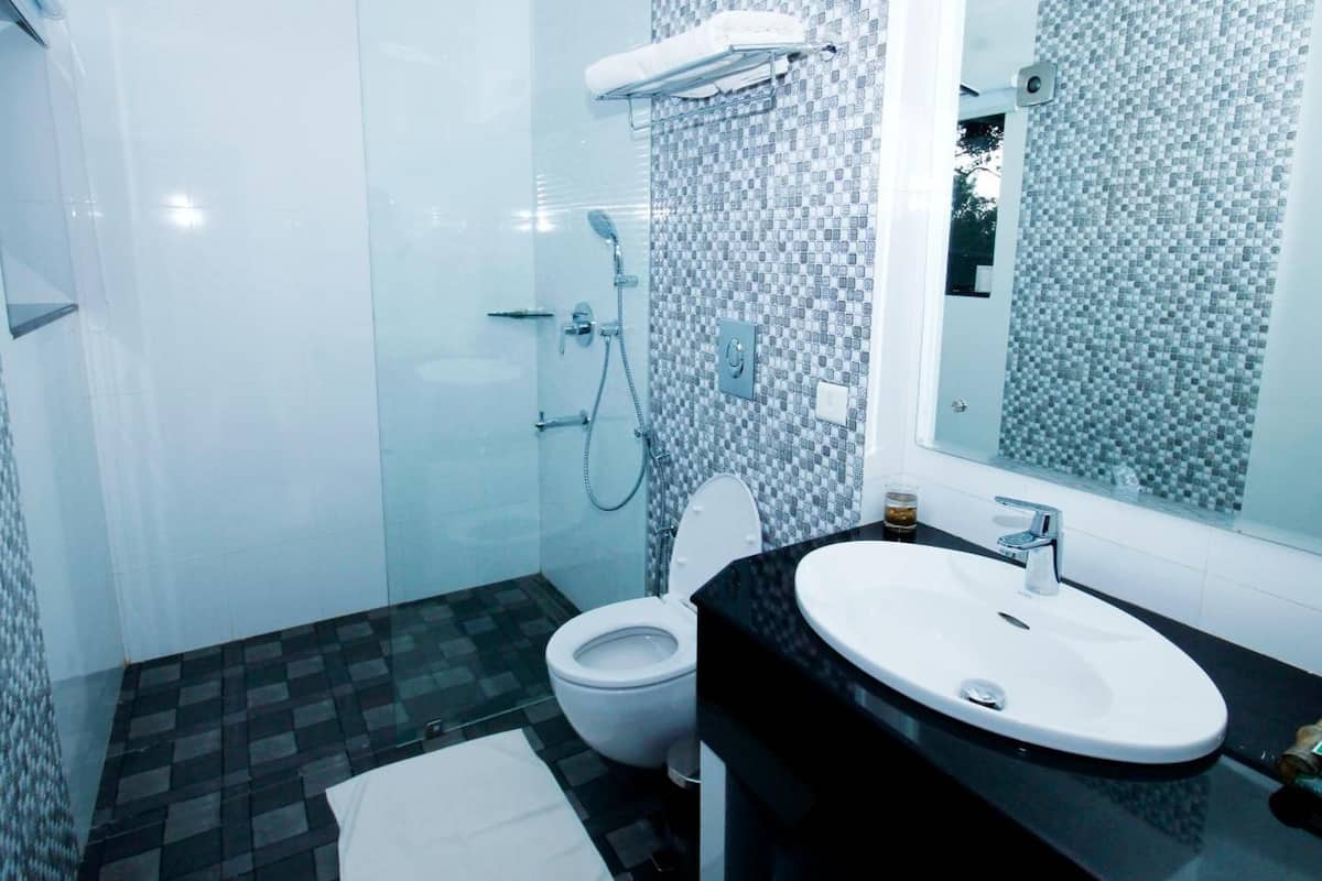 hair dryer, bathrobes, towels