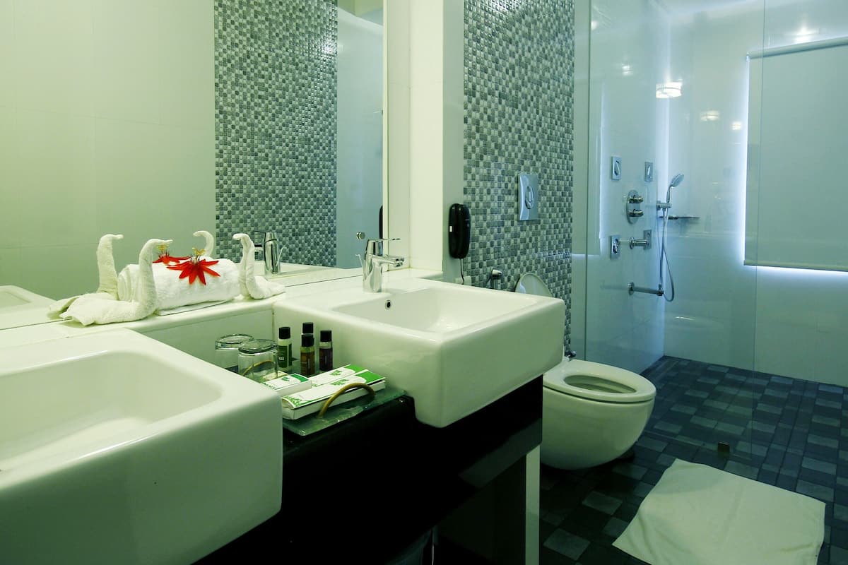 saffron grand | bathroom | hair dryer, bathrobes, towels