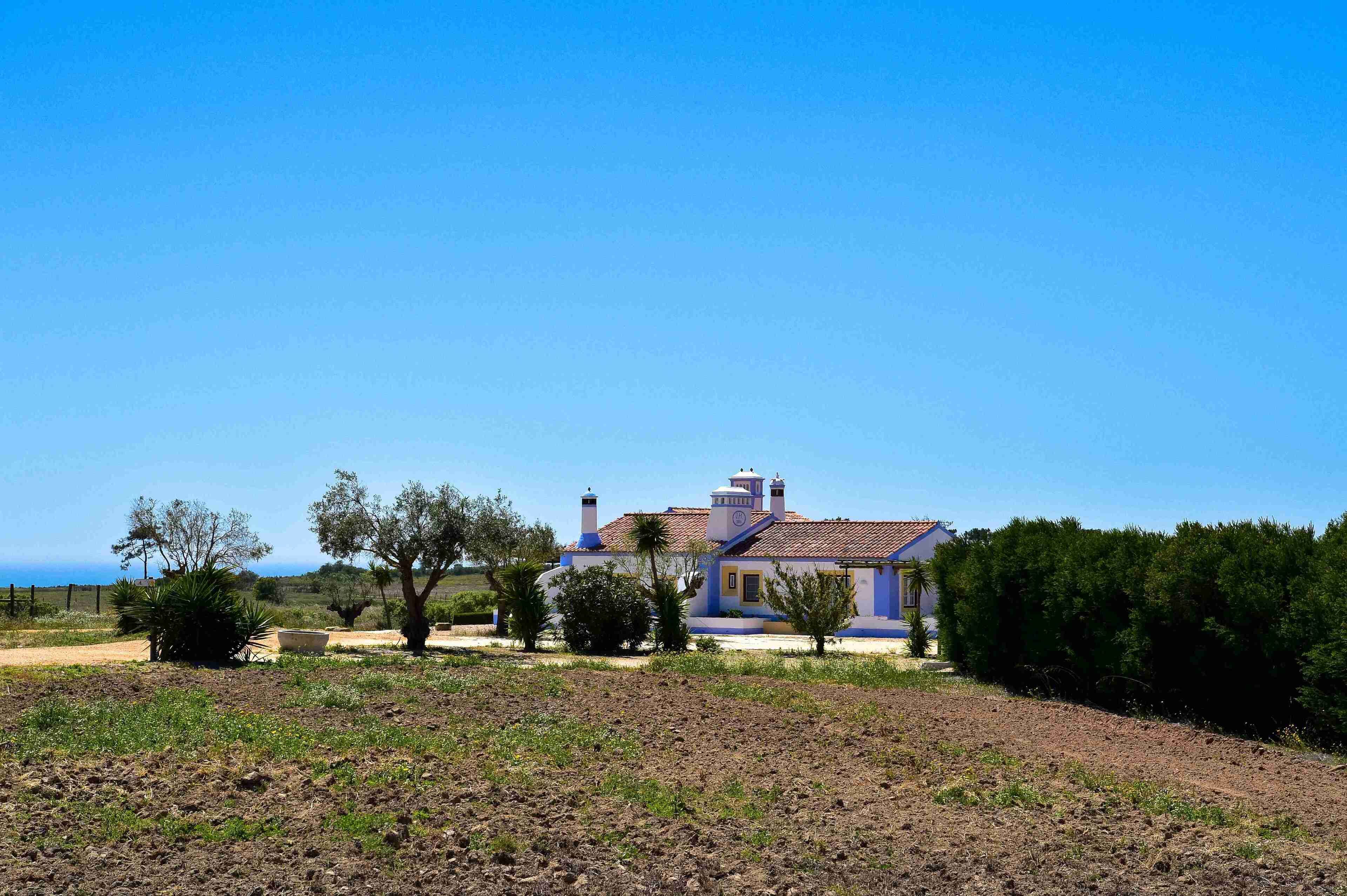 Ein Haus mit Ziegeldach, umgeben von einem gepflegten Garten und blauem Himmel.