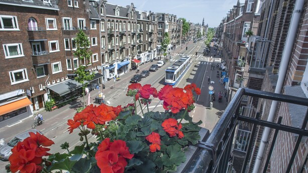 A view of a street with red flowers in the foreground, a tram, and buildings with multiple stories.