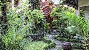 A garden with a stone pathway, tropical plants, and traditional architecture. - Duta Garden Hotel (Yogyakarta)