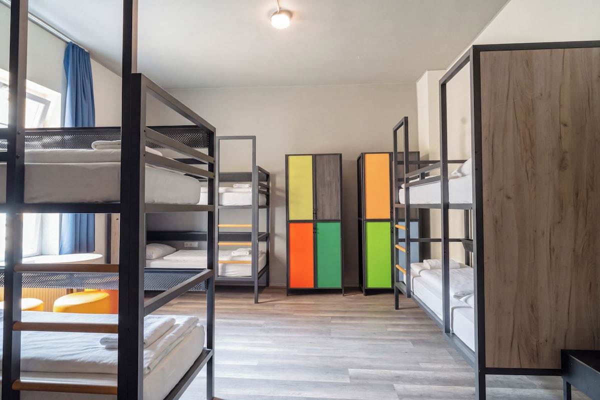 Bed in 8-Bed Dormitory