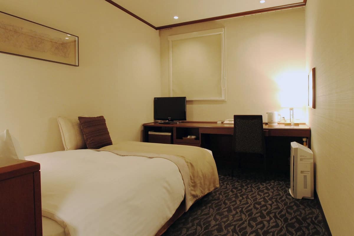 Una habitación de hotel con una cama, un escritorio, una silla, un televisor y una ventana.