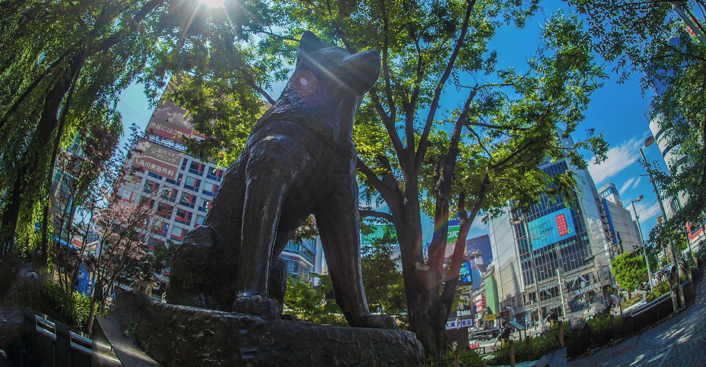 city view from property