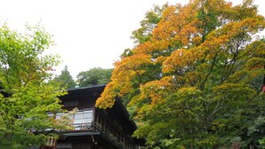 A traditional wooden building with a balcony, surrounded by lush trees with autumn foliage. - Nikko Sansui (Nikko)