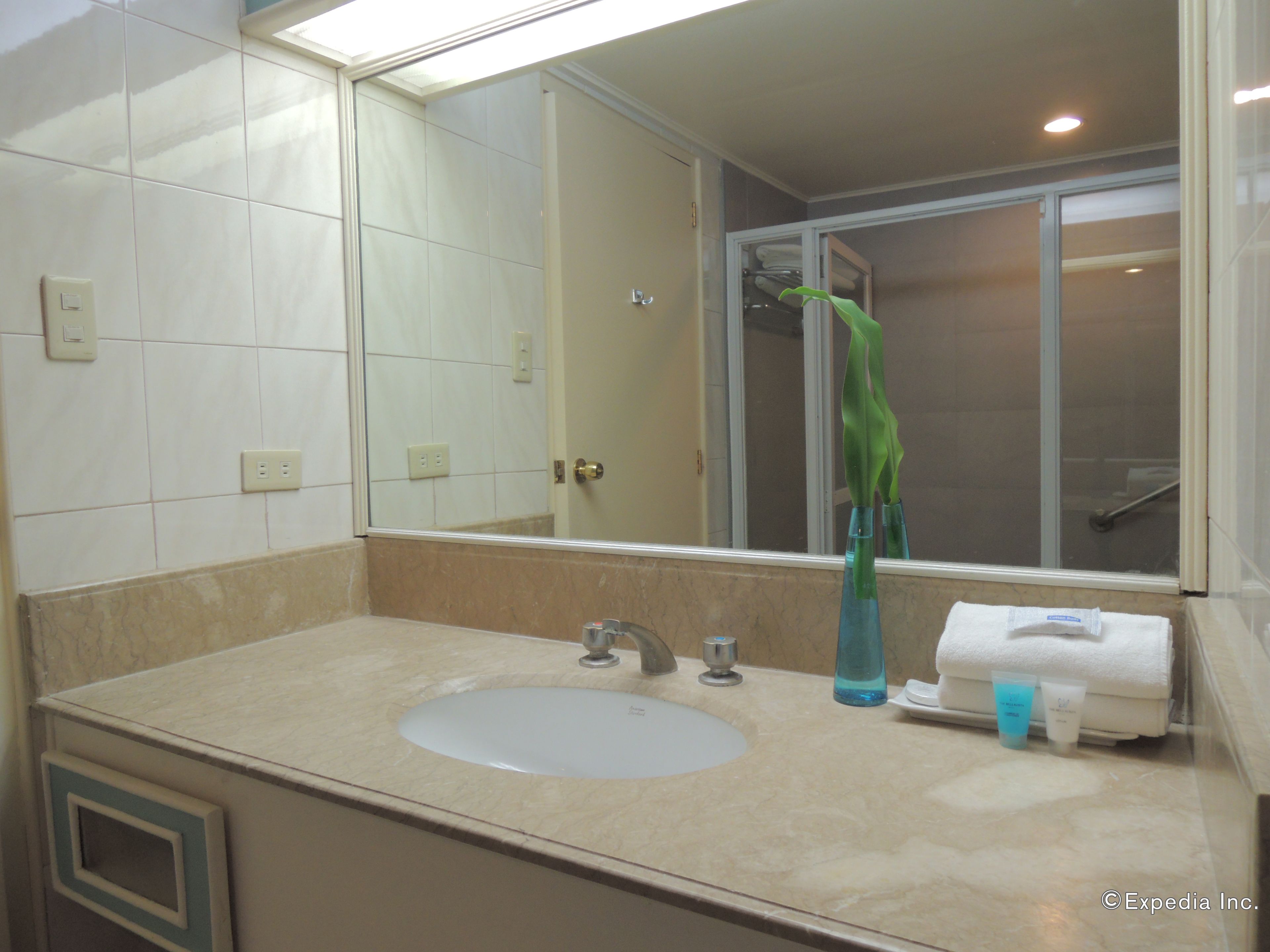 A bathroom with a sink, mirror, and a shower visible through the glass door.