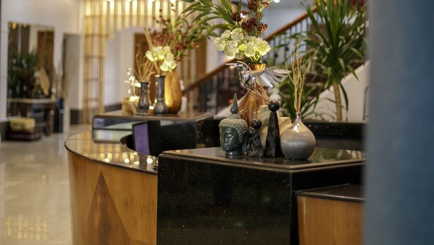 Un área de recepción con un mostrador curvo de madera, varios candelabros colgantes de mimbre y varias plantas en macetas.