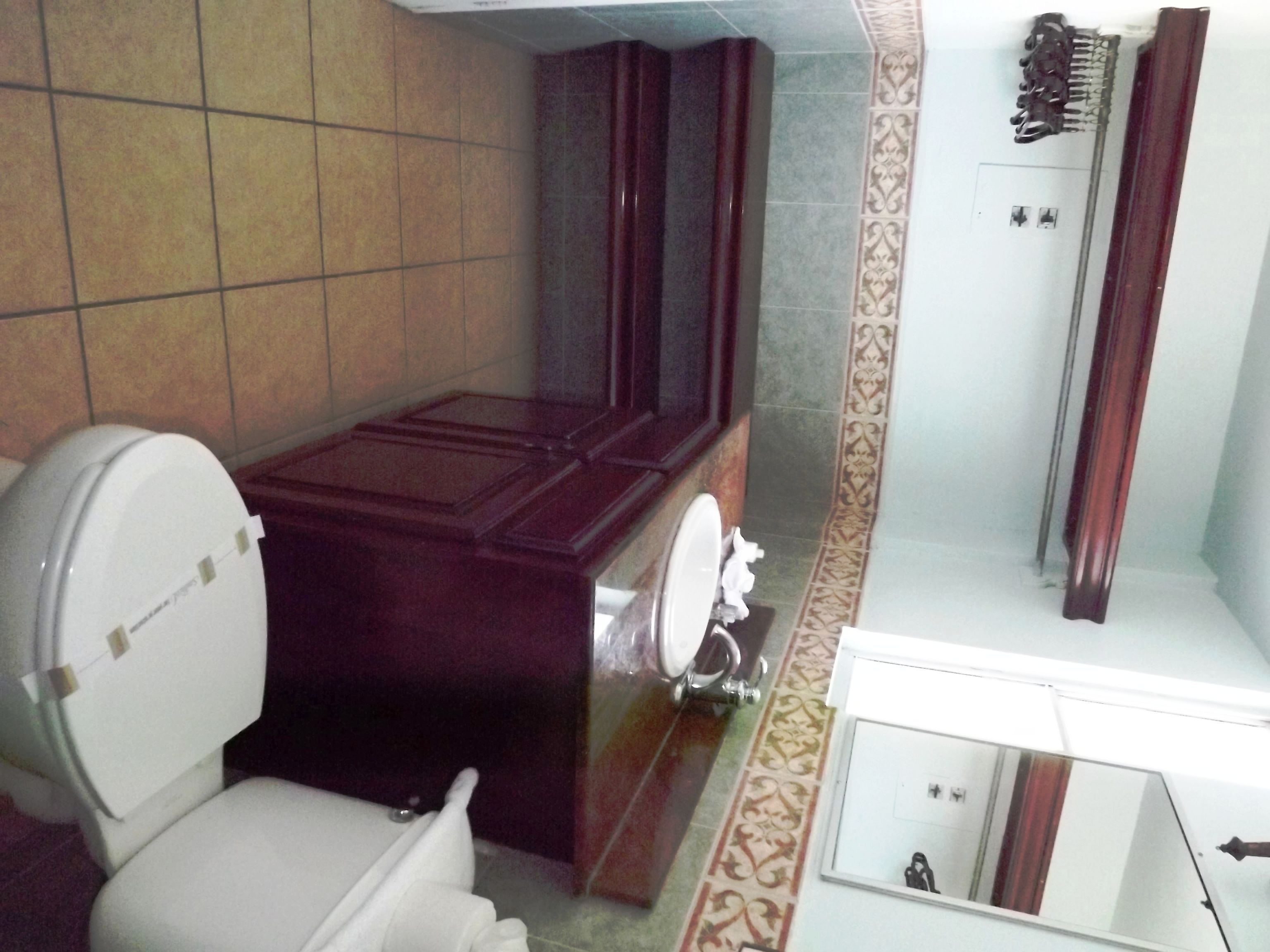 Une salle de bain avec des toilettes, un lavabo et un miroir.