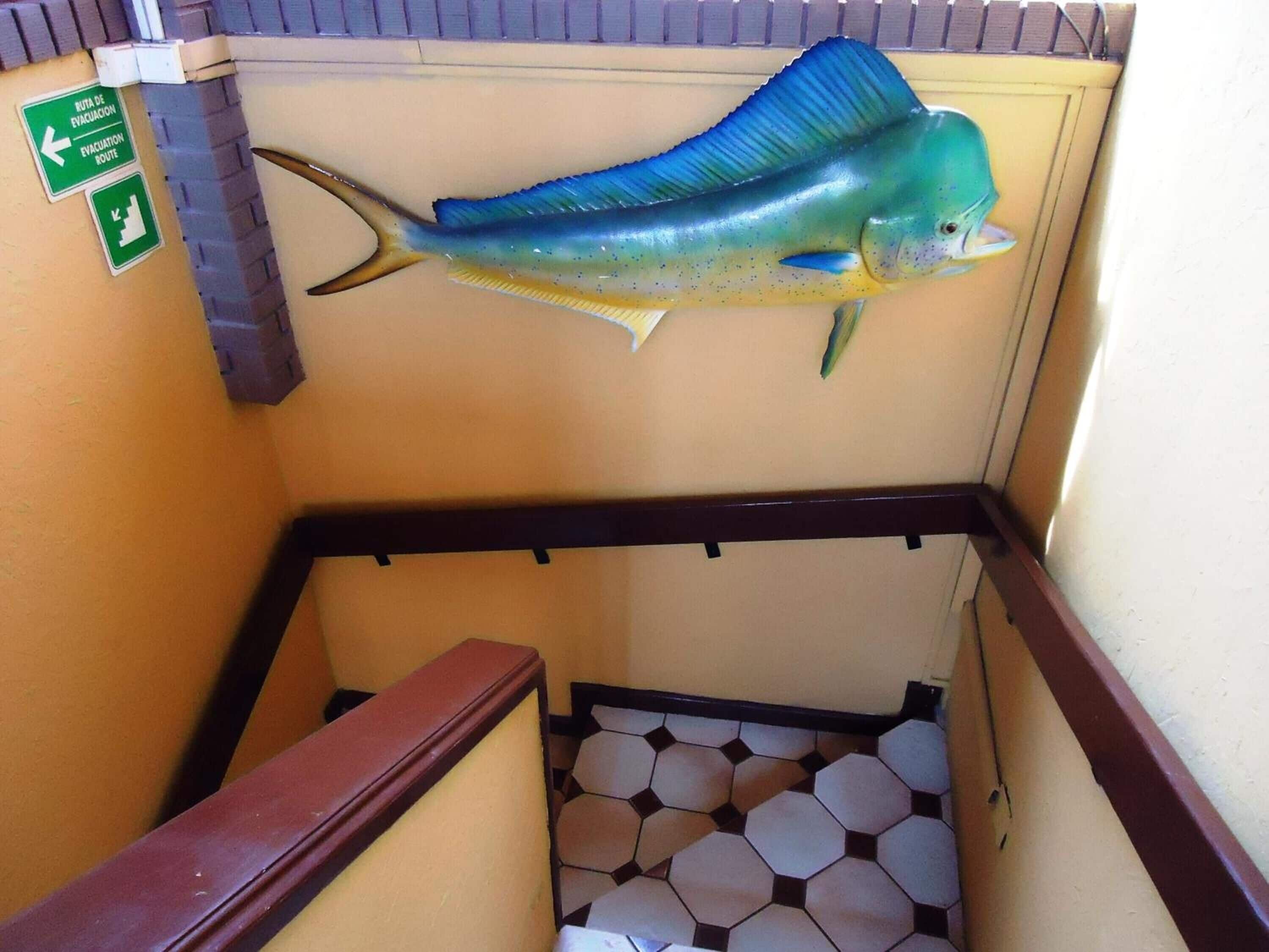A staircase with a fish decoration on the wall and a green evacuation route sign.