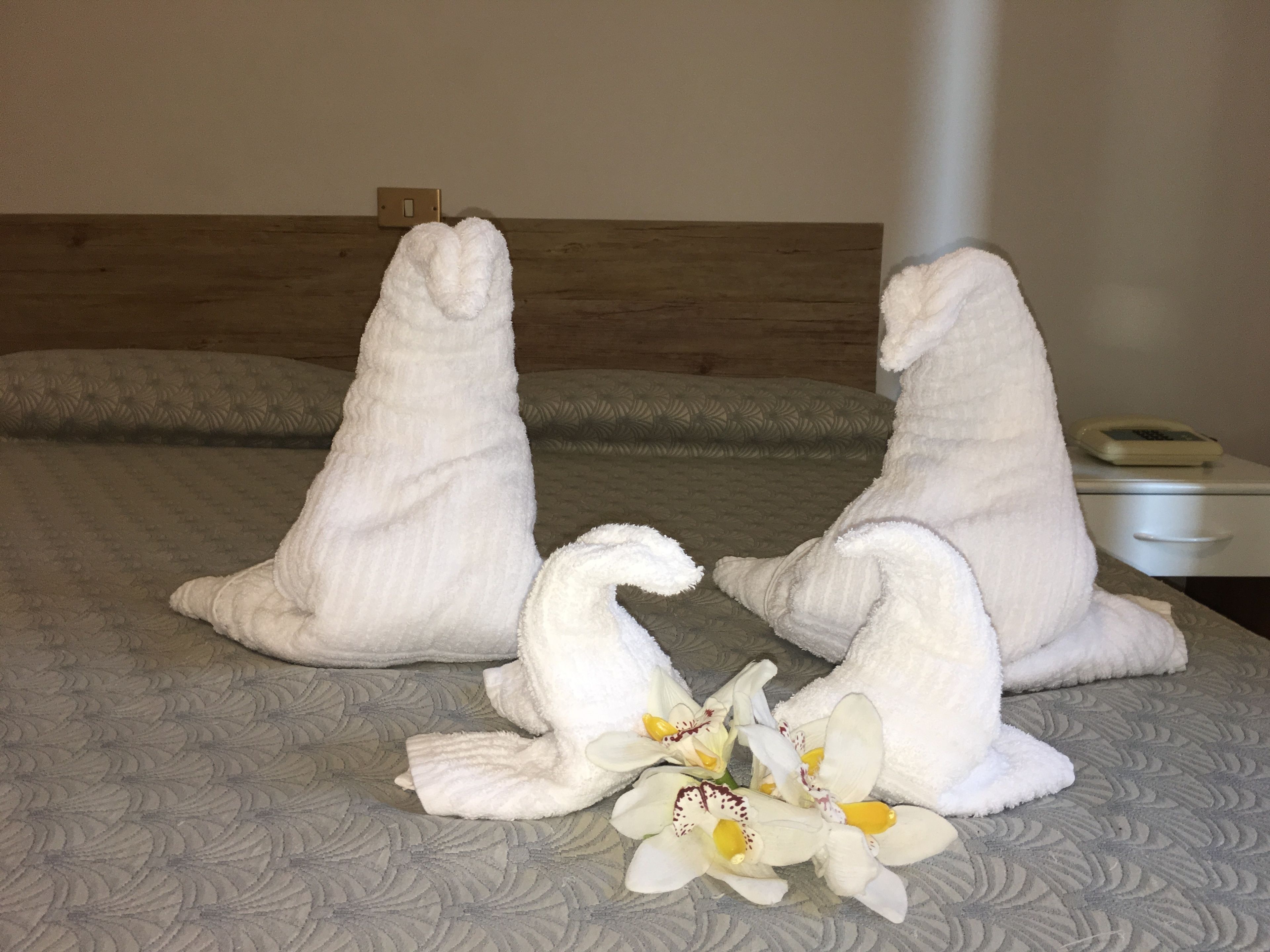 Foto - Hotel Le Orchidee