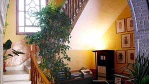 A staircase with a wooden railing, a large potted plant, and a wall with framed pictures. - El Soto de Roma (Fuente Vaqueros)