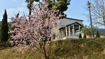 A building with a white facade and green accents, surrounded by a lush garden with blooming pink trees.