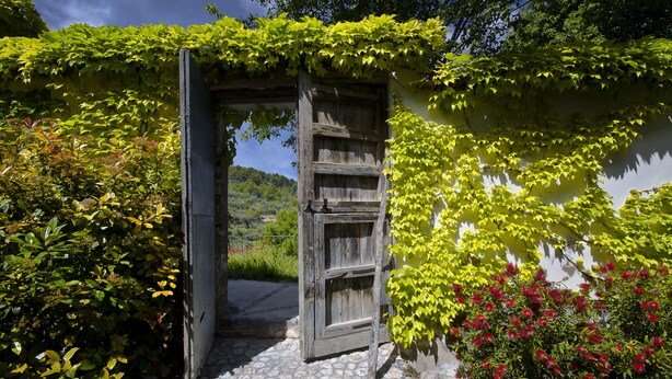 Una rústica puerta de madera con un camino de piedra que lleva a un jardín exuberante.