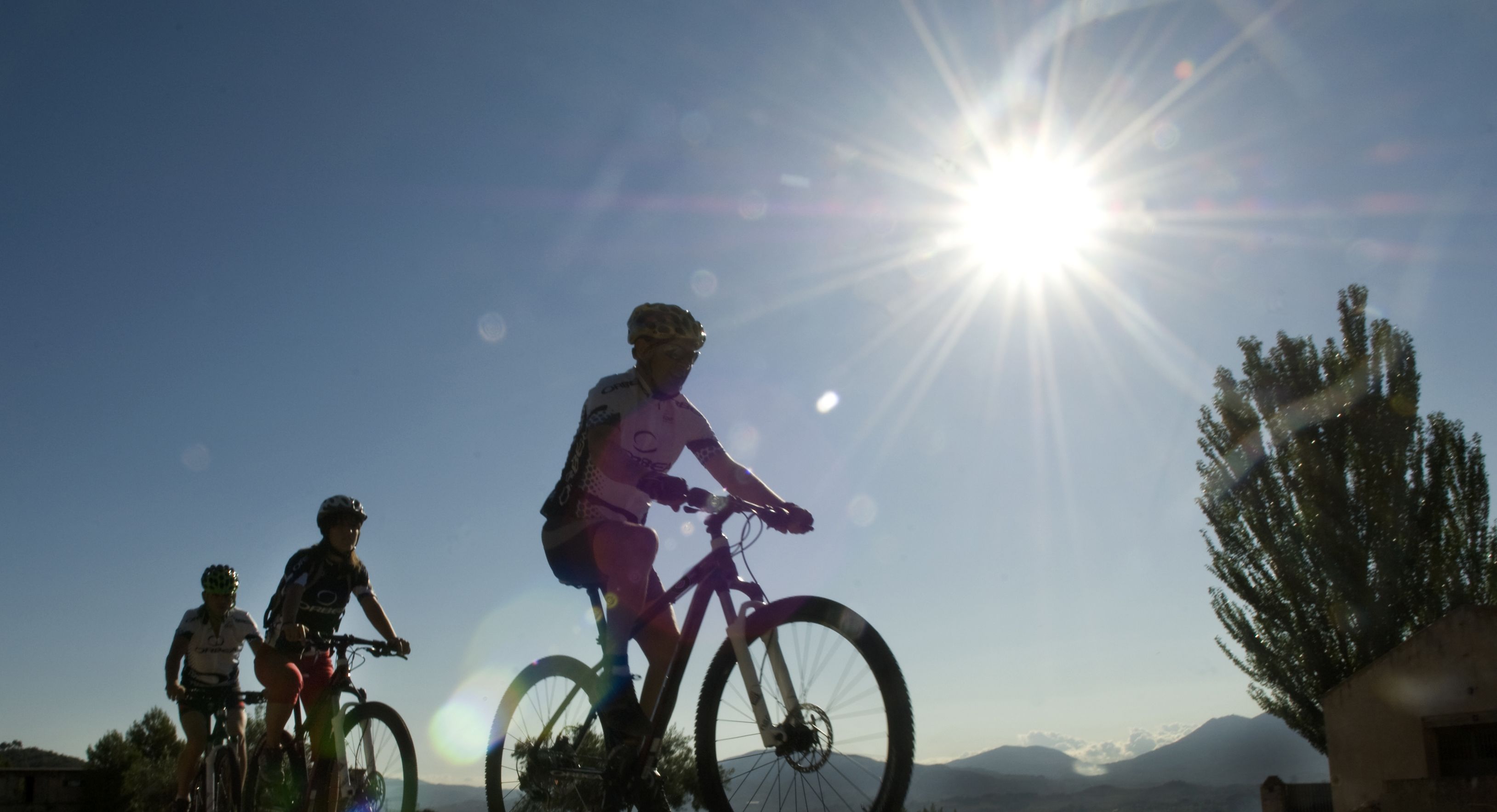Tres ciclistas en una carretera, con un sol brillante al fondo.