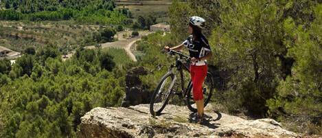 A mountain biker on a rocky outcrop overlooking a forested valley.