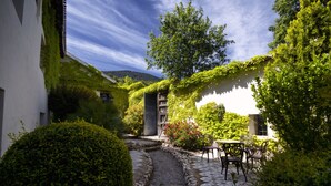 Un patio con un sendero de piedra, una mesa con sillas y abundante vegetación.