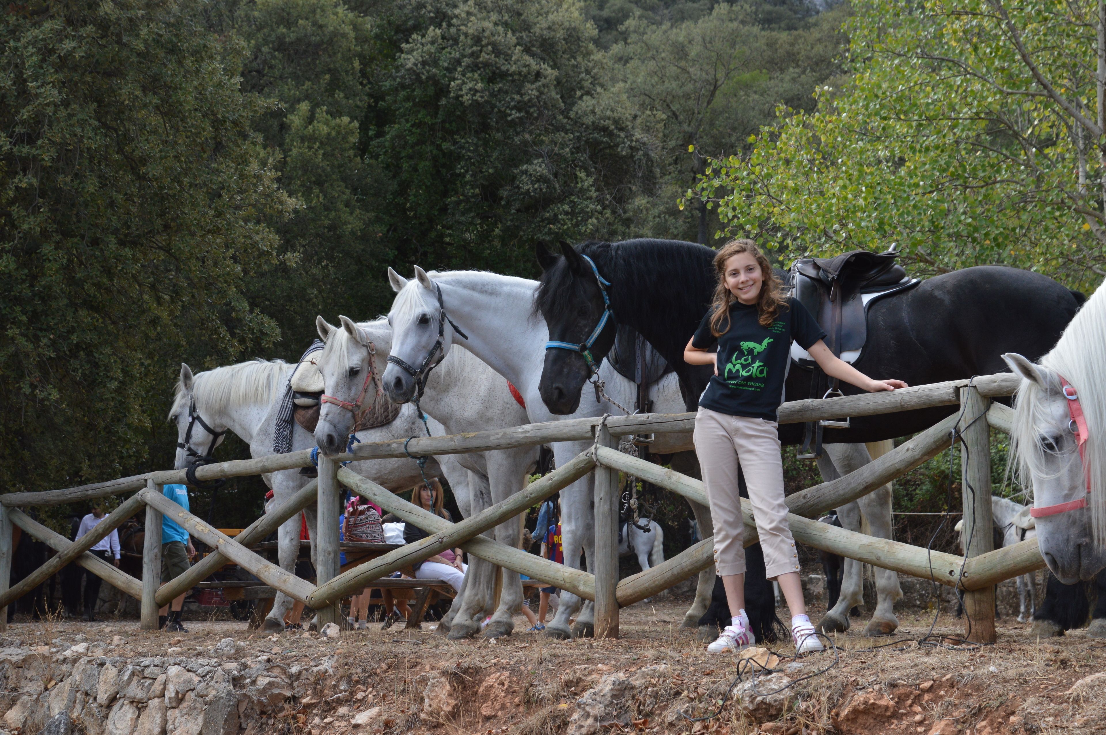 A person standing next to a wooden fence with horses behind it.