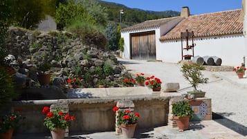 Esterni