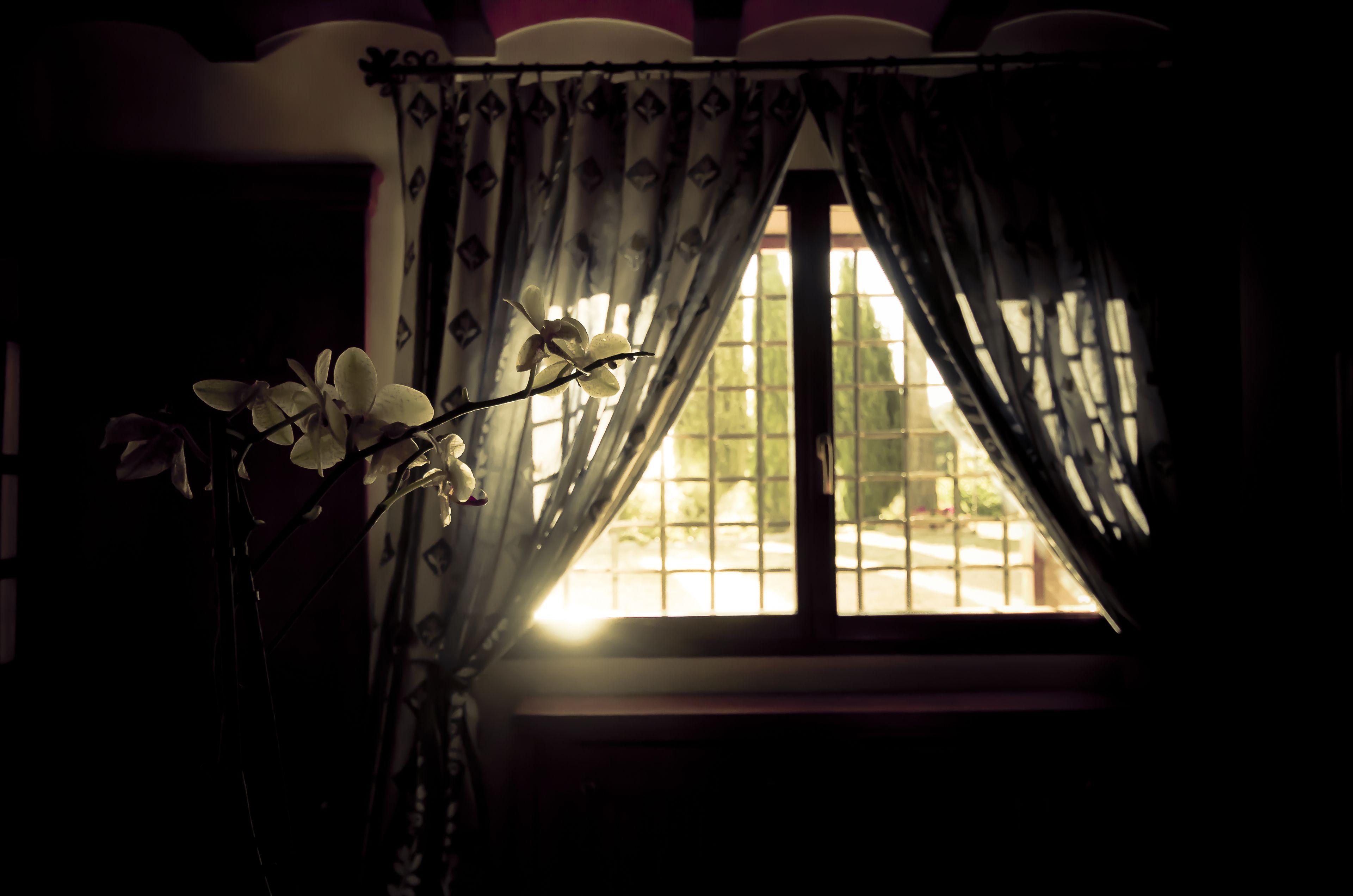 Una ventana con cortinas estampadas, vista a plantas verdes afuera y un florero con flores en el alféizar.