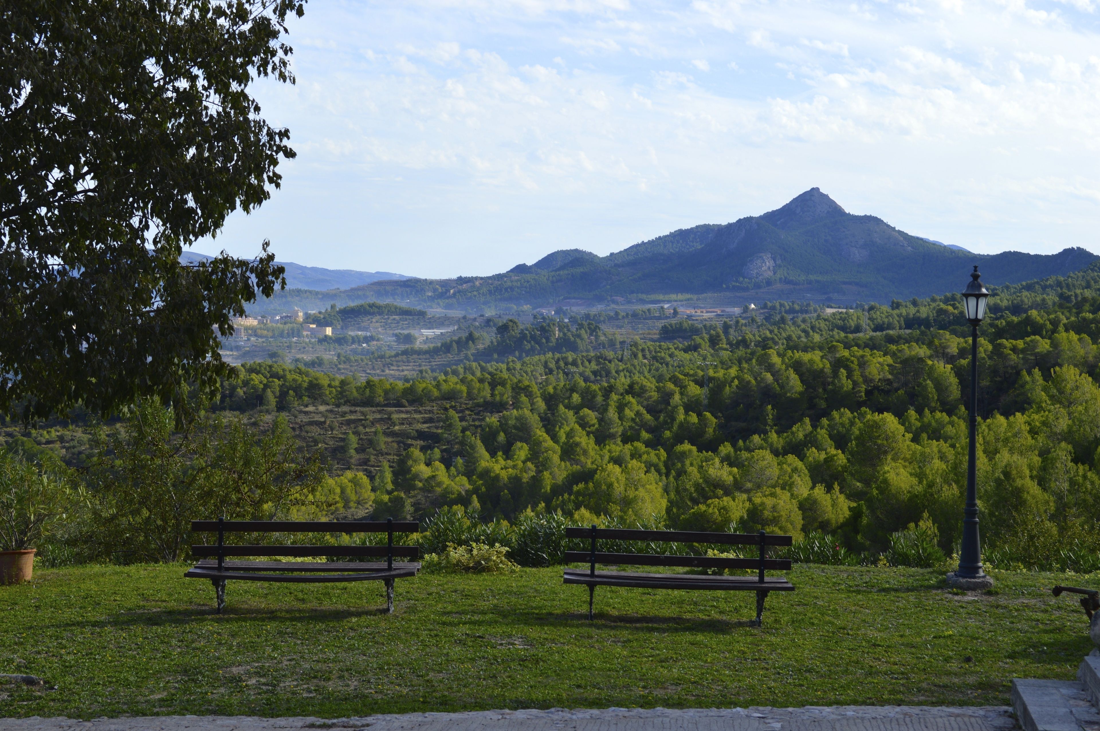 A park with two benches facing a mountain.