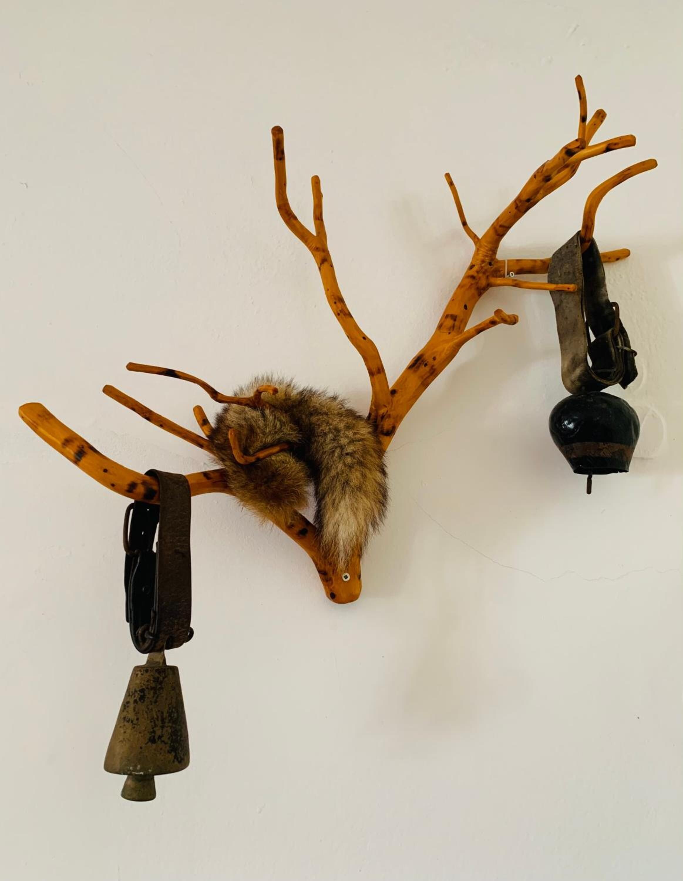 Cabeza de venado montada en la pared, con astas y cuello de piel.