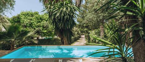 Piscina rodeada de exuberante follaje, con dos sillas de descanso y una terraza de madera.