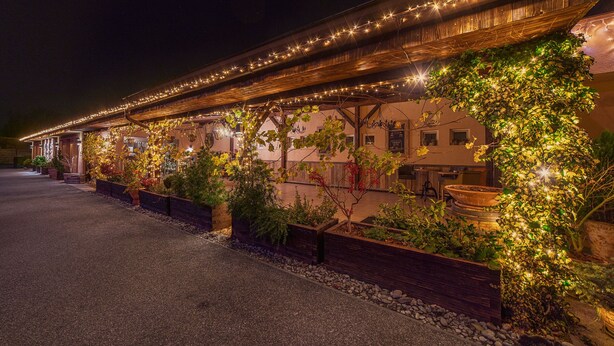 A building with a covered outdoor seating area, string lights, and a garden with various plants. - Penzión Berg (Bratislava)