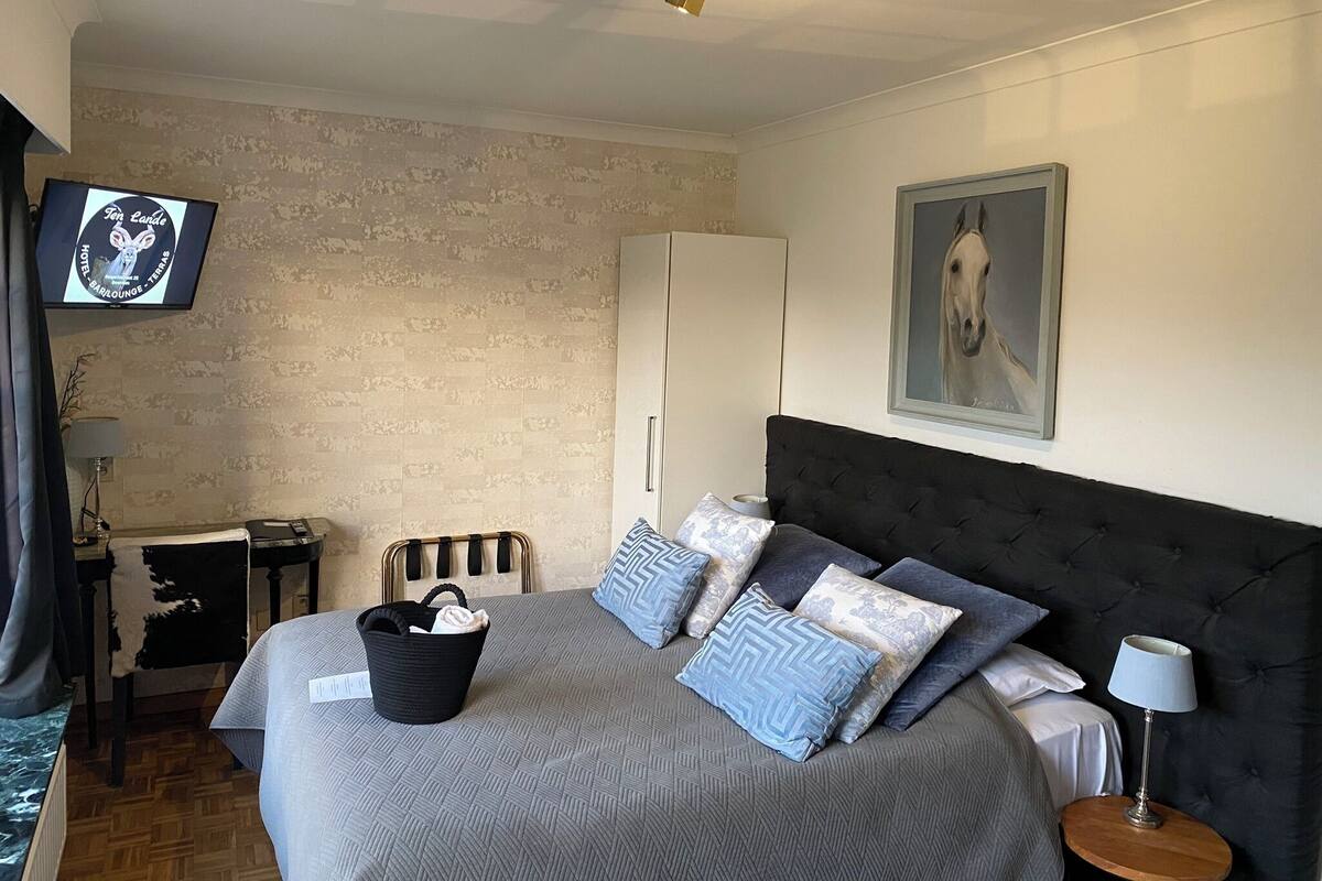 A hotel room with a bed, a television, a wardrobe, a painting, and a lamp.