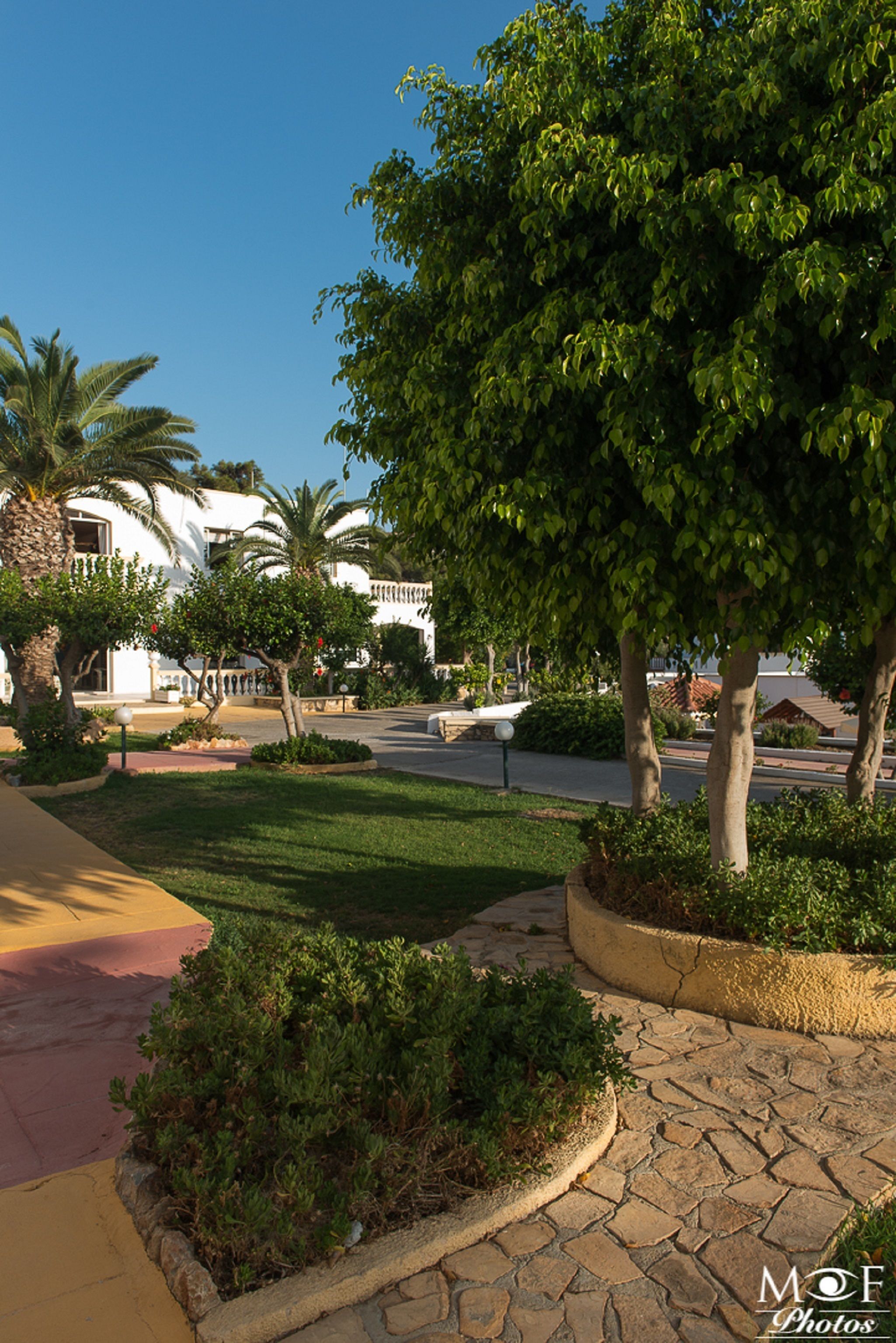 Zona ajardinada con sendero pavimentado, palmeras y un edificio de fachada blanca.