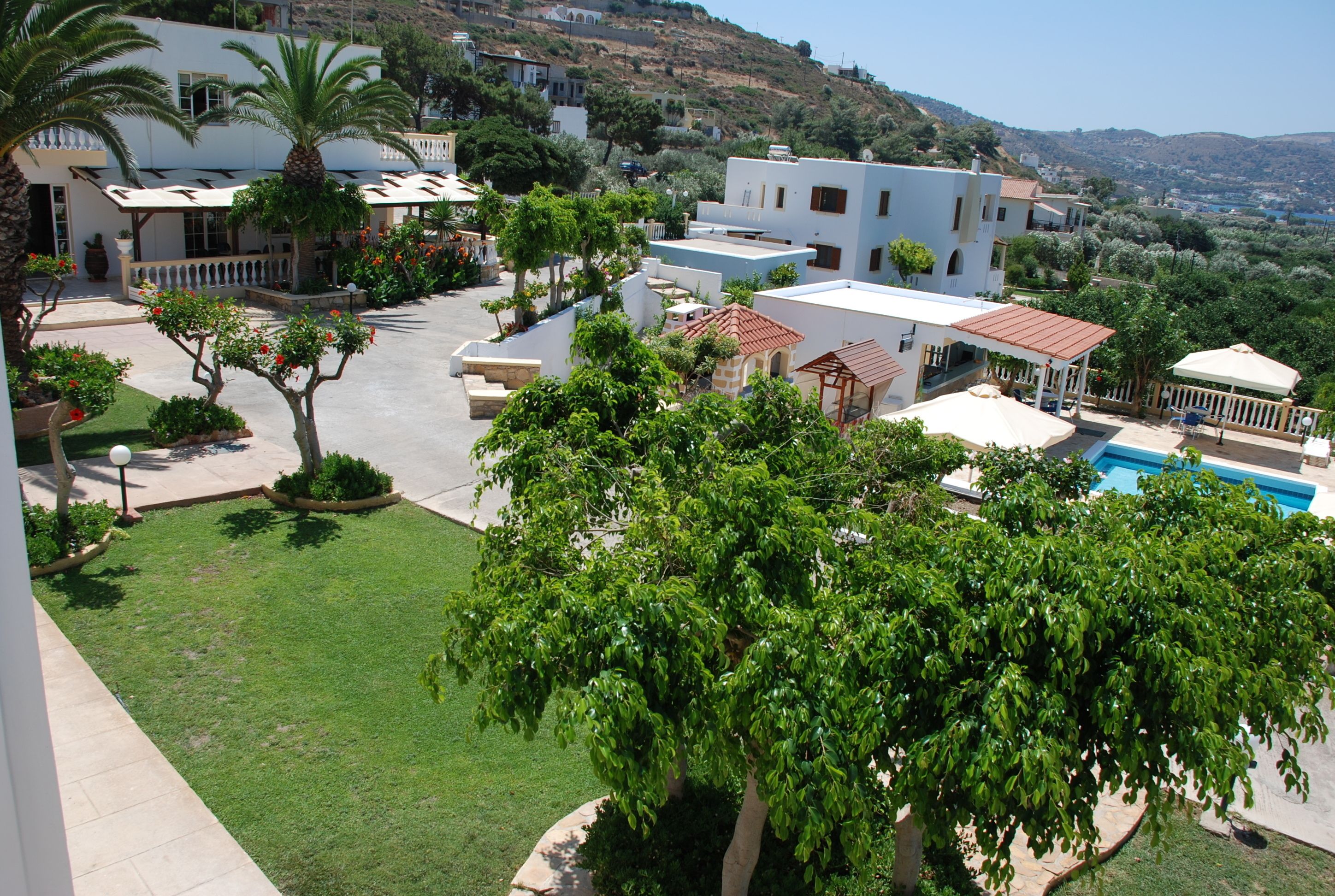 A residential area with a pool, palm trees, and a hillside in the background.