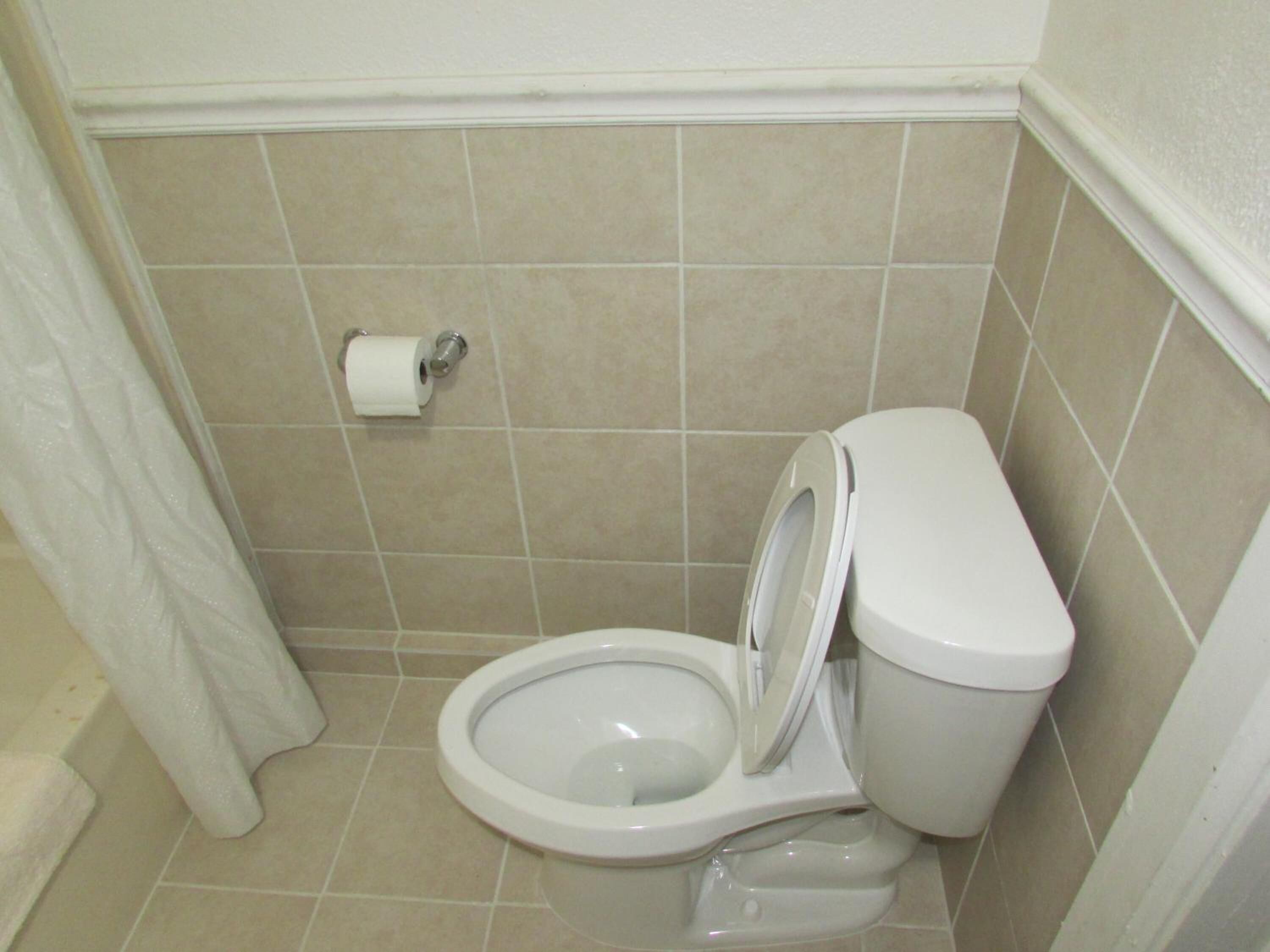 Une salle de bain standard équipée de toilettes, d’un rouleau de papier toilette et d’un rideau de douche.