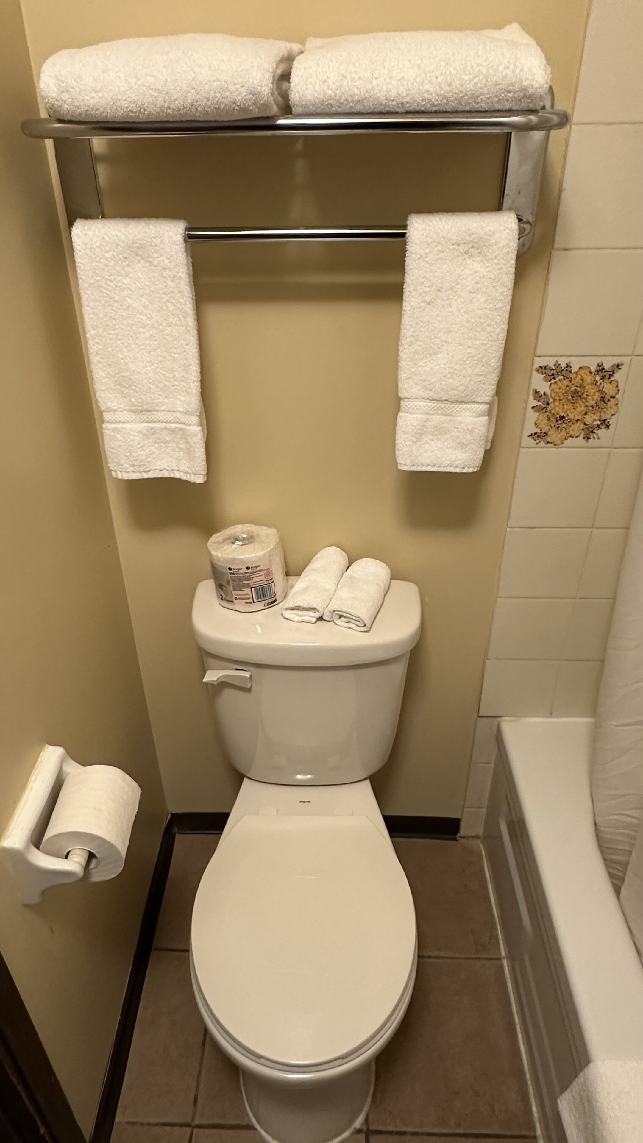 Een badkamer met toilet, twee handdoeken aan de muur, een toiletpapierhouder en een douchehoek.