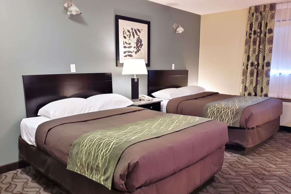 Habitación de hotel con dos camas, una mesita de noche, una lámpara, un cuadro en la pared y una alfombra estampada.