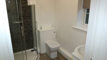 A bathroom with a glass-enclosed shower, a toilet, and a sink.