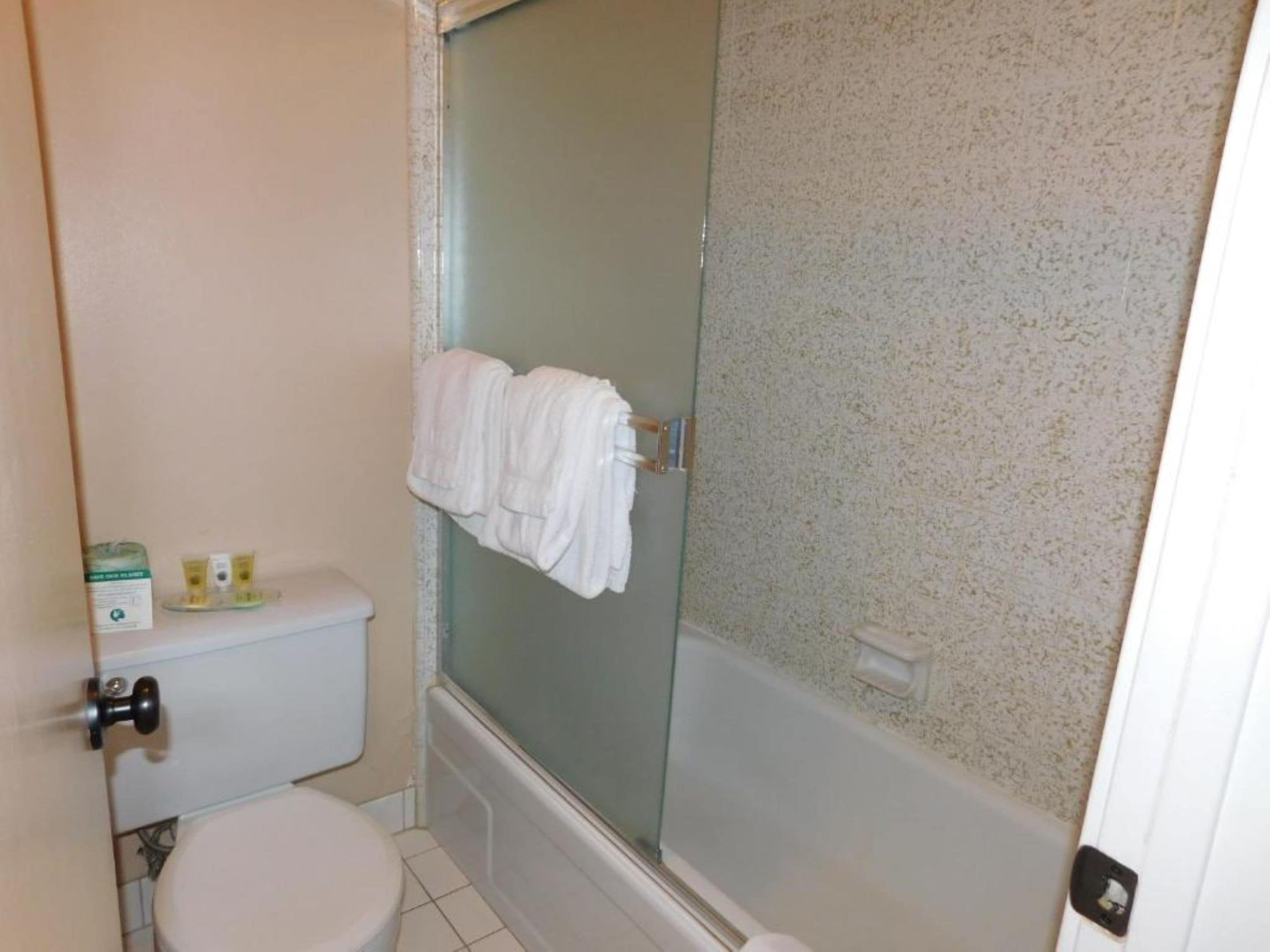 A bathroom with a toilet, a glass shower enclosure, and a towel rack.