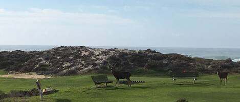 Un campo de golf con búnkeres, una valla de madera y vistas al océano.