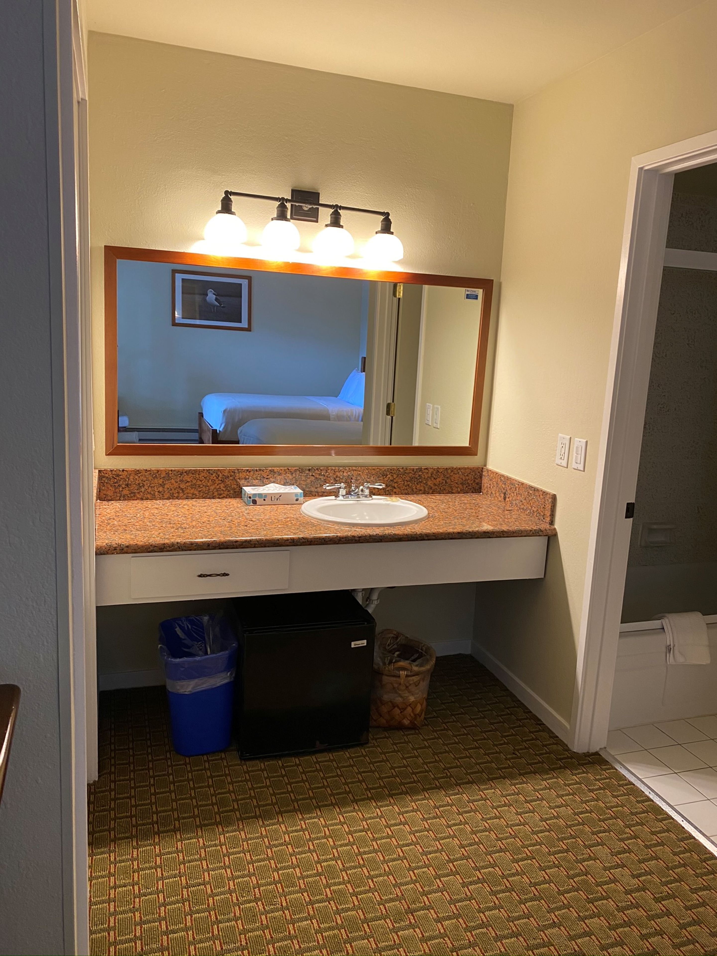 A hotel bathroom with a sink, mirror, and a small trash bin.