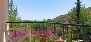 Habitación estándar | Vistas desde el alojamiento