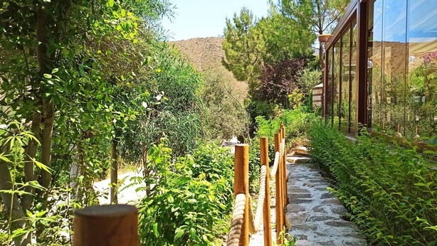 Un camino de piedra bordeado por abundante vegetación y postes de madera, que conduce a un edificio moderno con grandes ventanales.