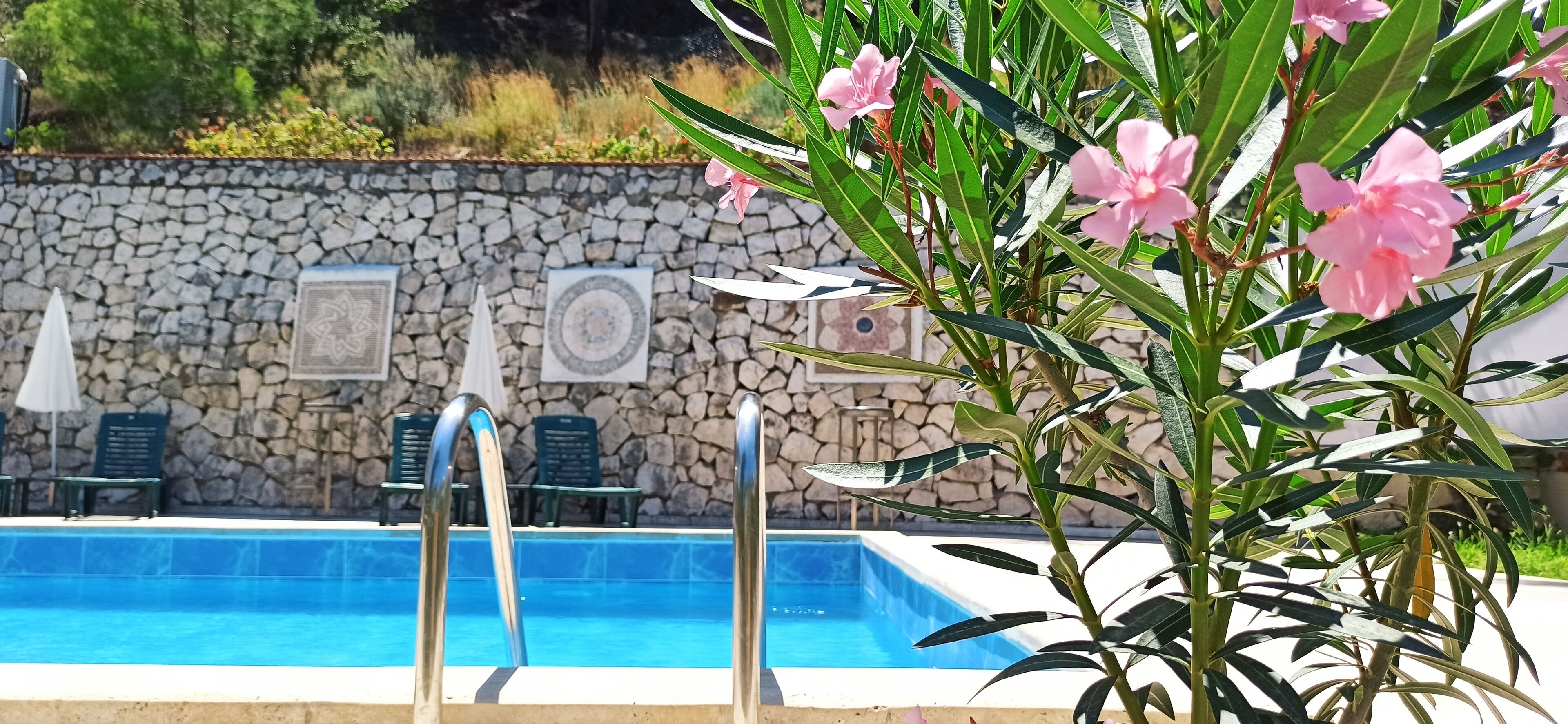 Outdoor pool, pool umbrellas, sun loungers