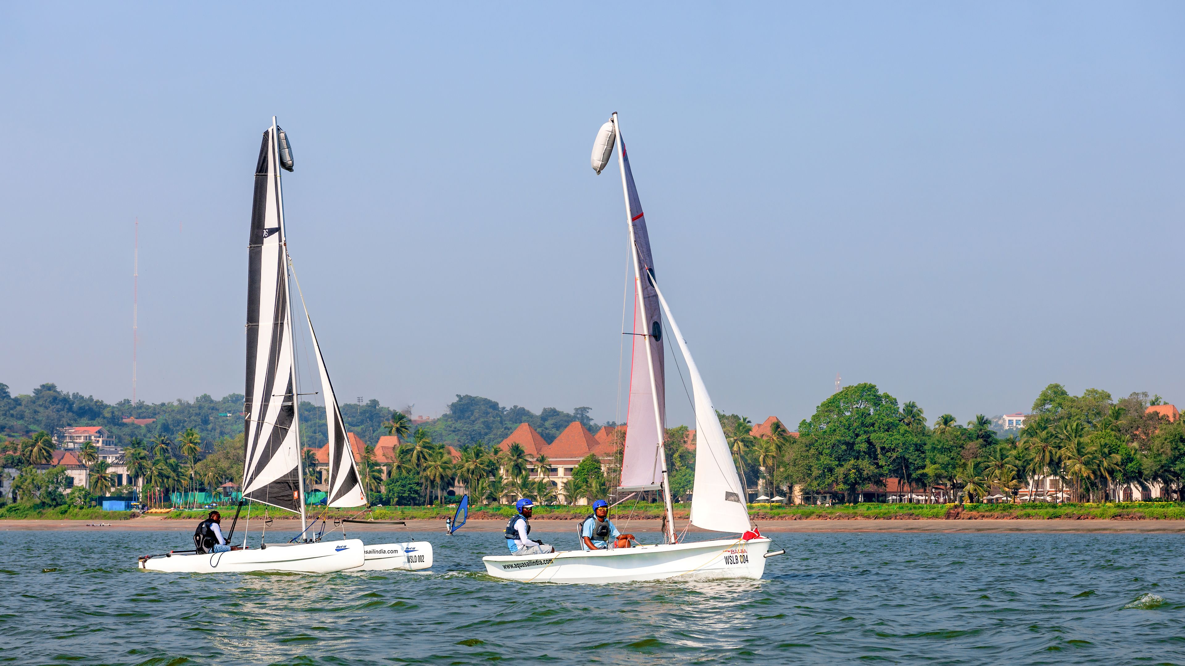Two sailboats on a calm body of water with a backdrop of houses and palm trees.