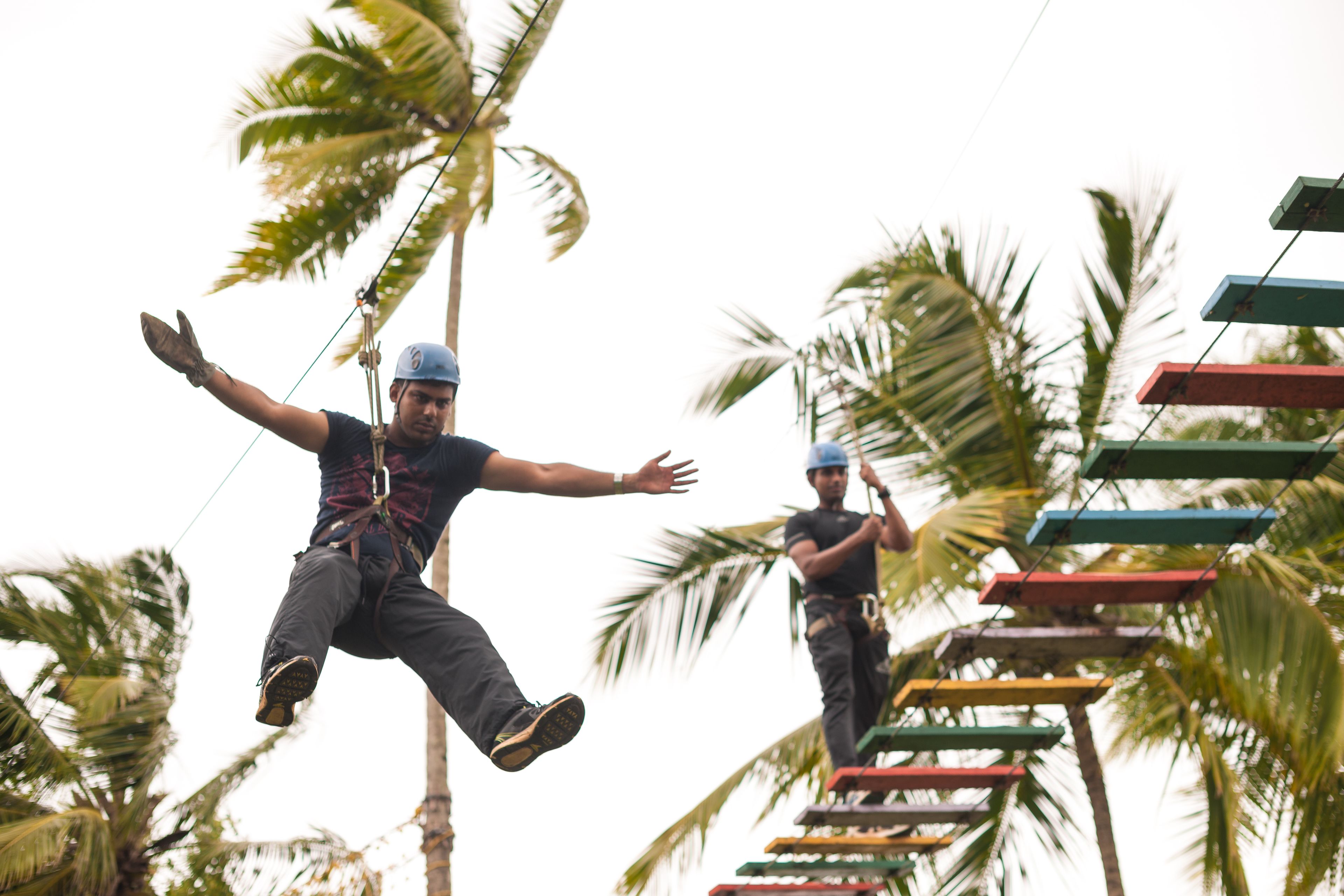 A person zip-lining between palm trees.