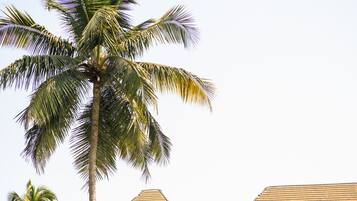 A large building with a symmetrical facade, multiple balconies, and a well-maintained lawn with palm trees.