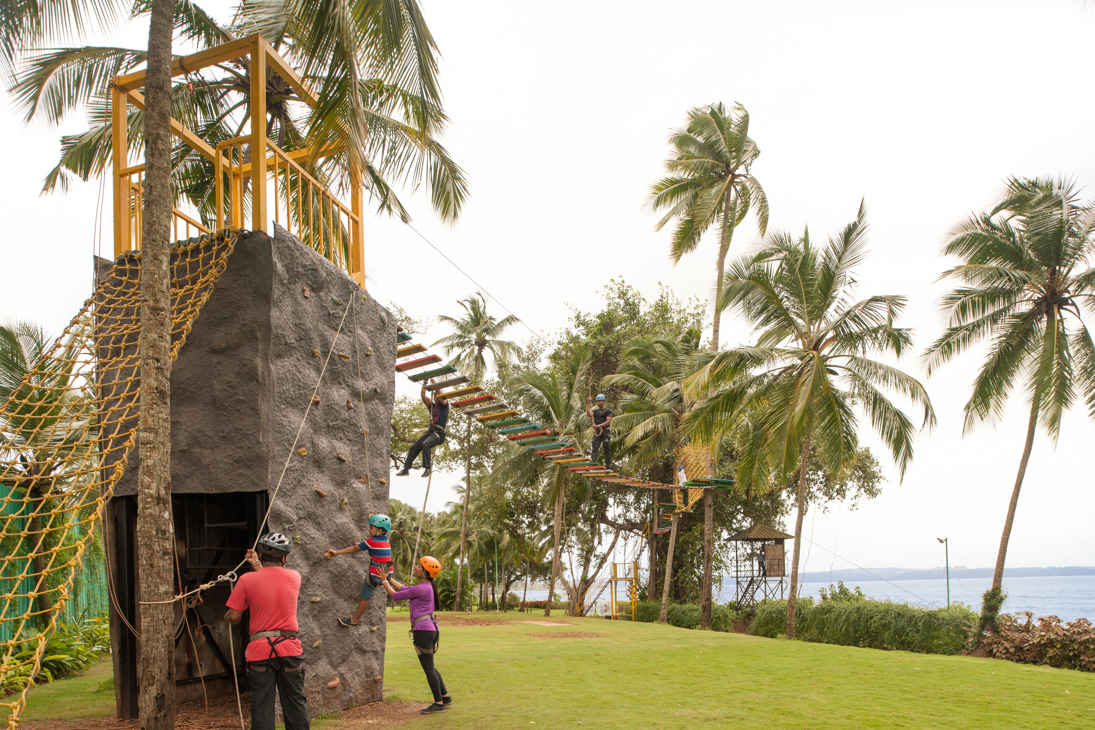 A rock climbing structure with a netted entrance, surrounded by palm trees and a grassy area.